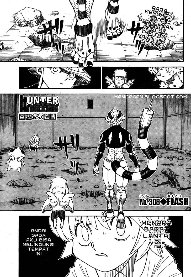 hunter-x-hunter - Chapter: 308