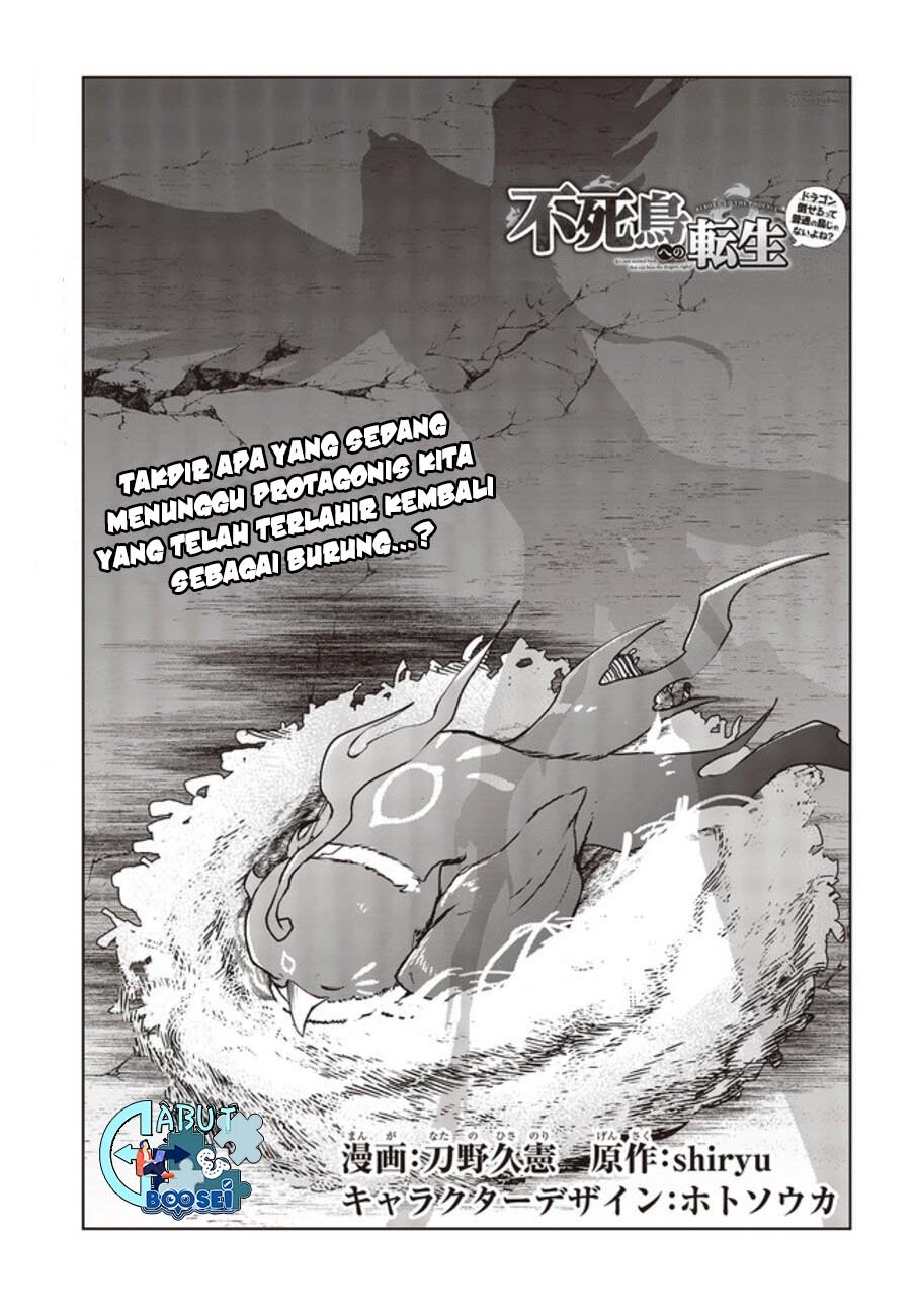 fushichou-e-no-tensei-dragon-taoseru-tte-futsuu-no-tori-ja-nai-yo-ne - Chapter: 2