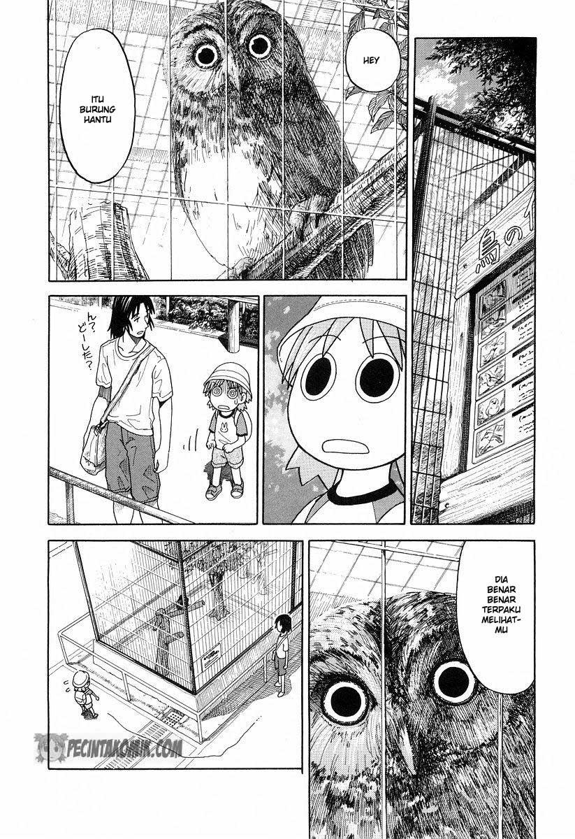 yotsuba-to - Chapter: 19