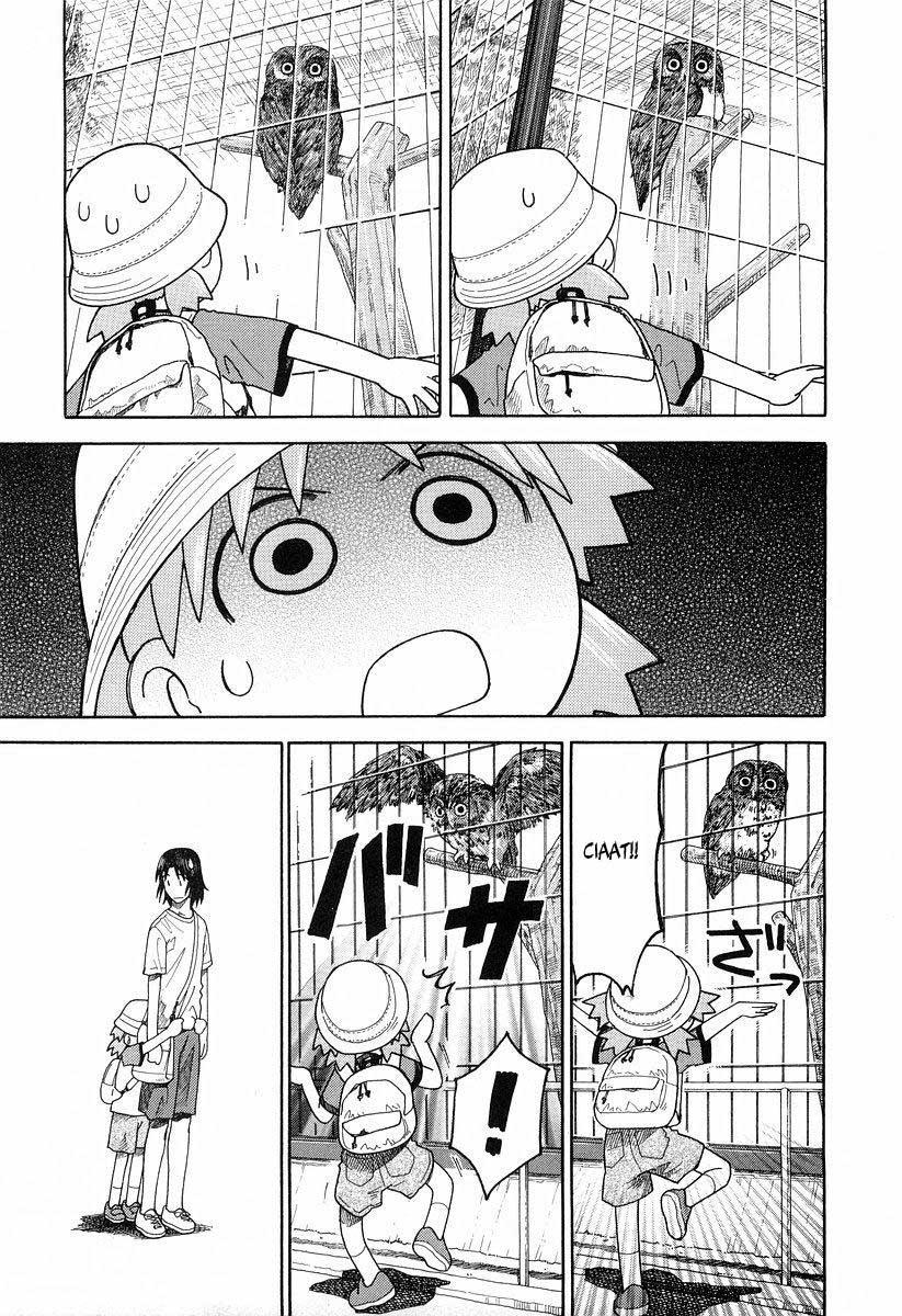 yotsuba-to - Chapter: 19