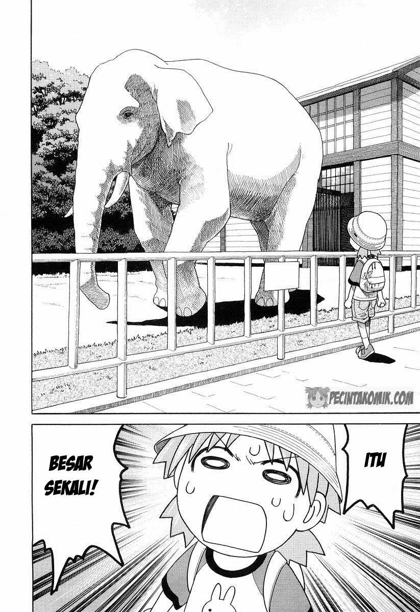 yotsuba-to - Chapter: 19