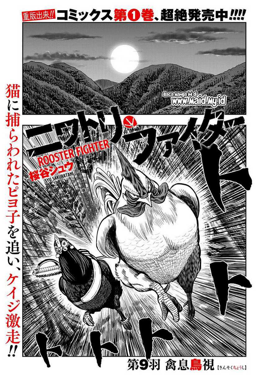 rooster-fighter - Chapter: 9