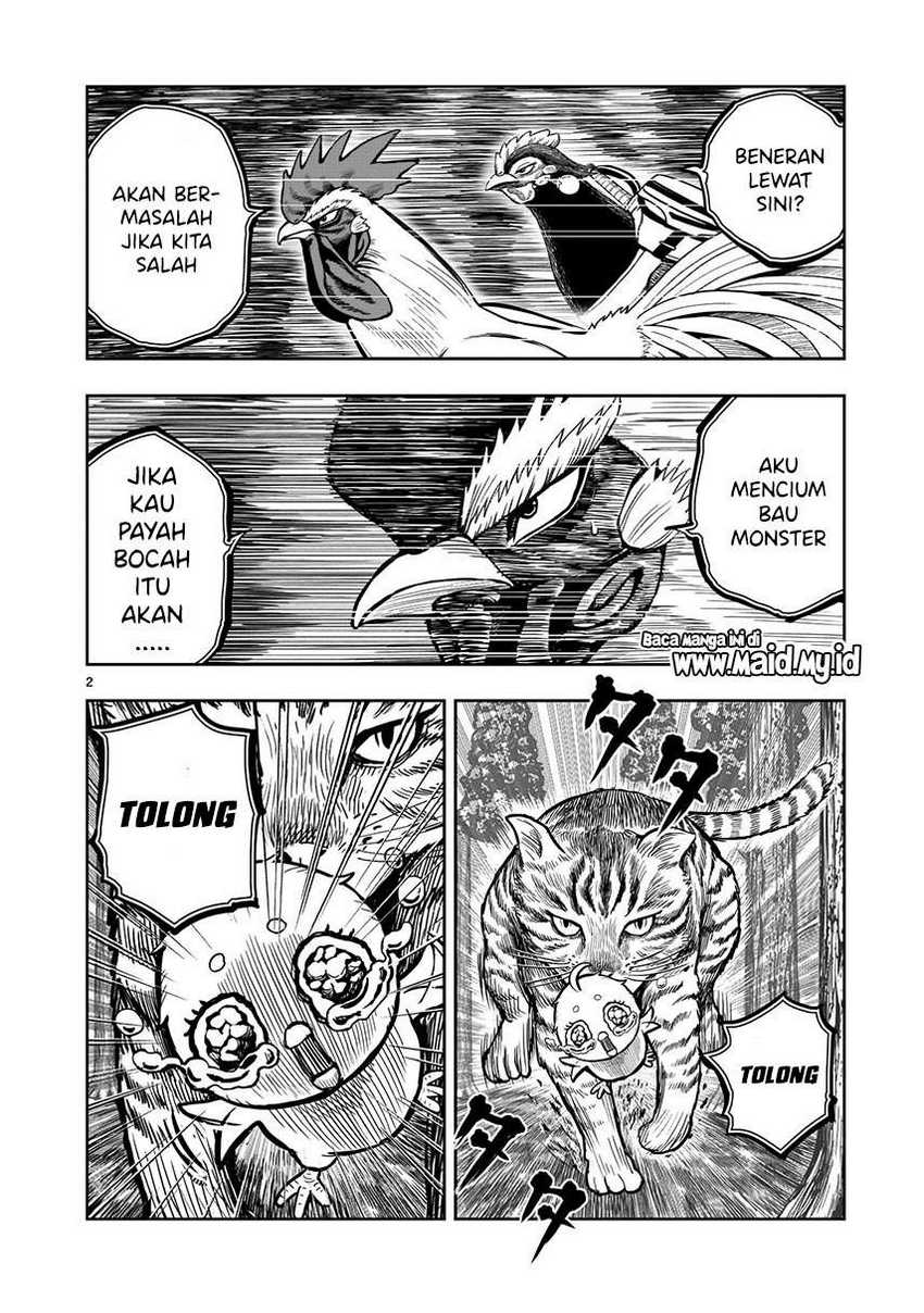 rooster-fighter - Chapter: 9