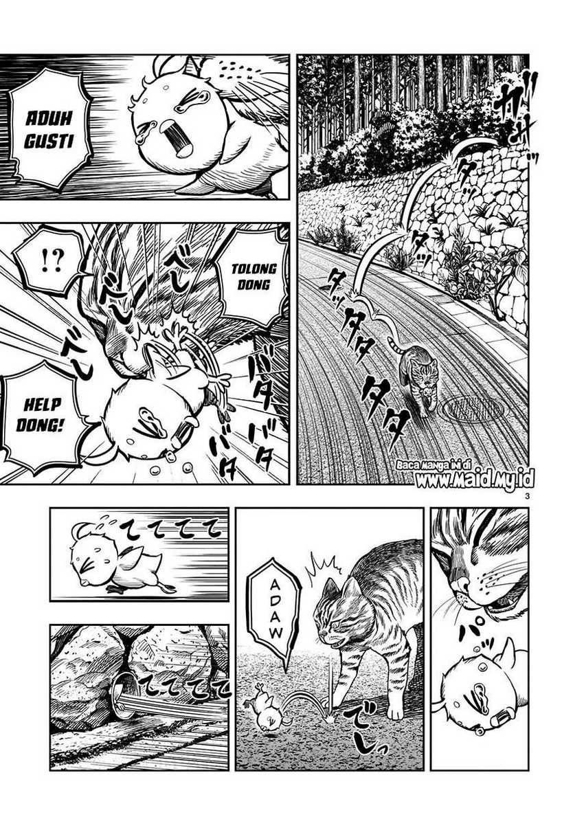 rooster-fighter - Chapter: 9