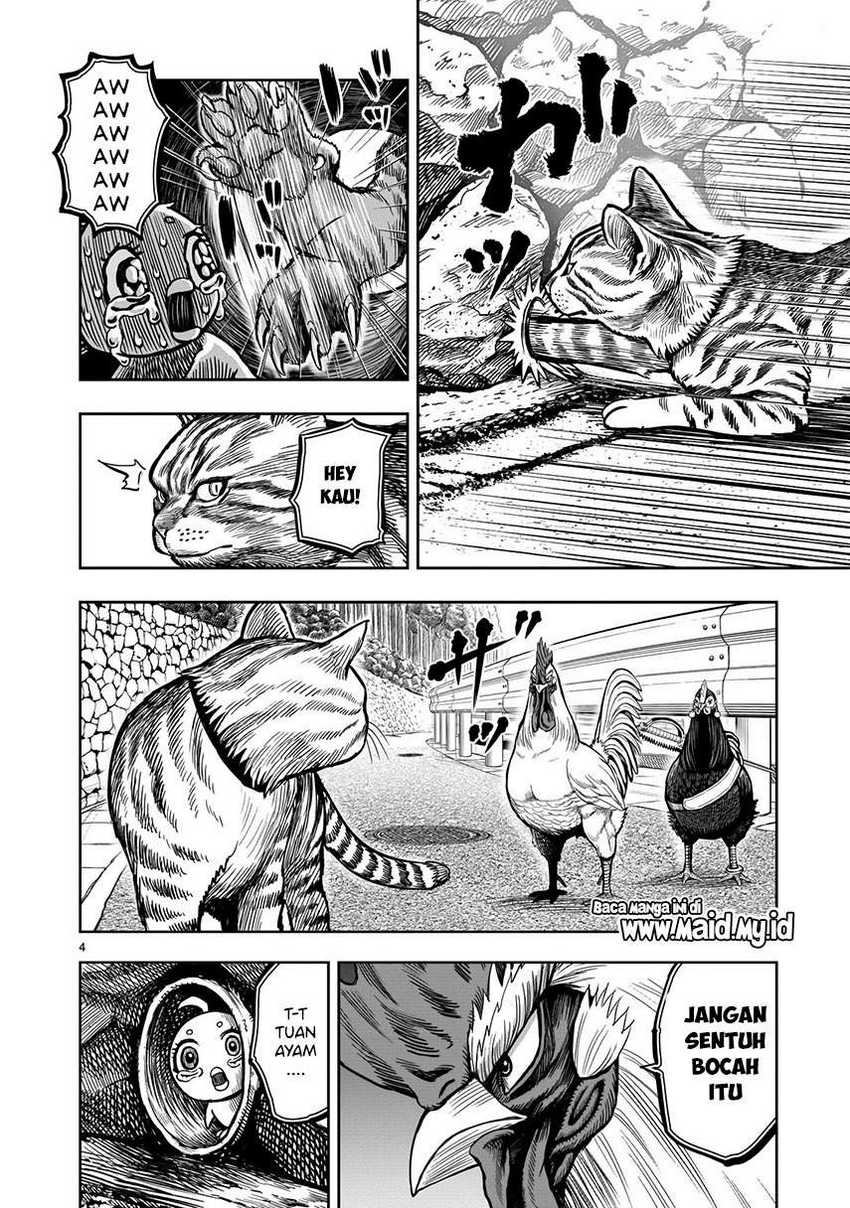 rooster-fighter - Chapter: 9