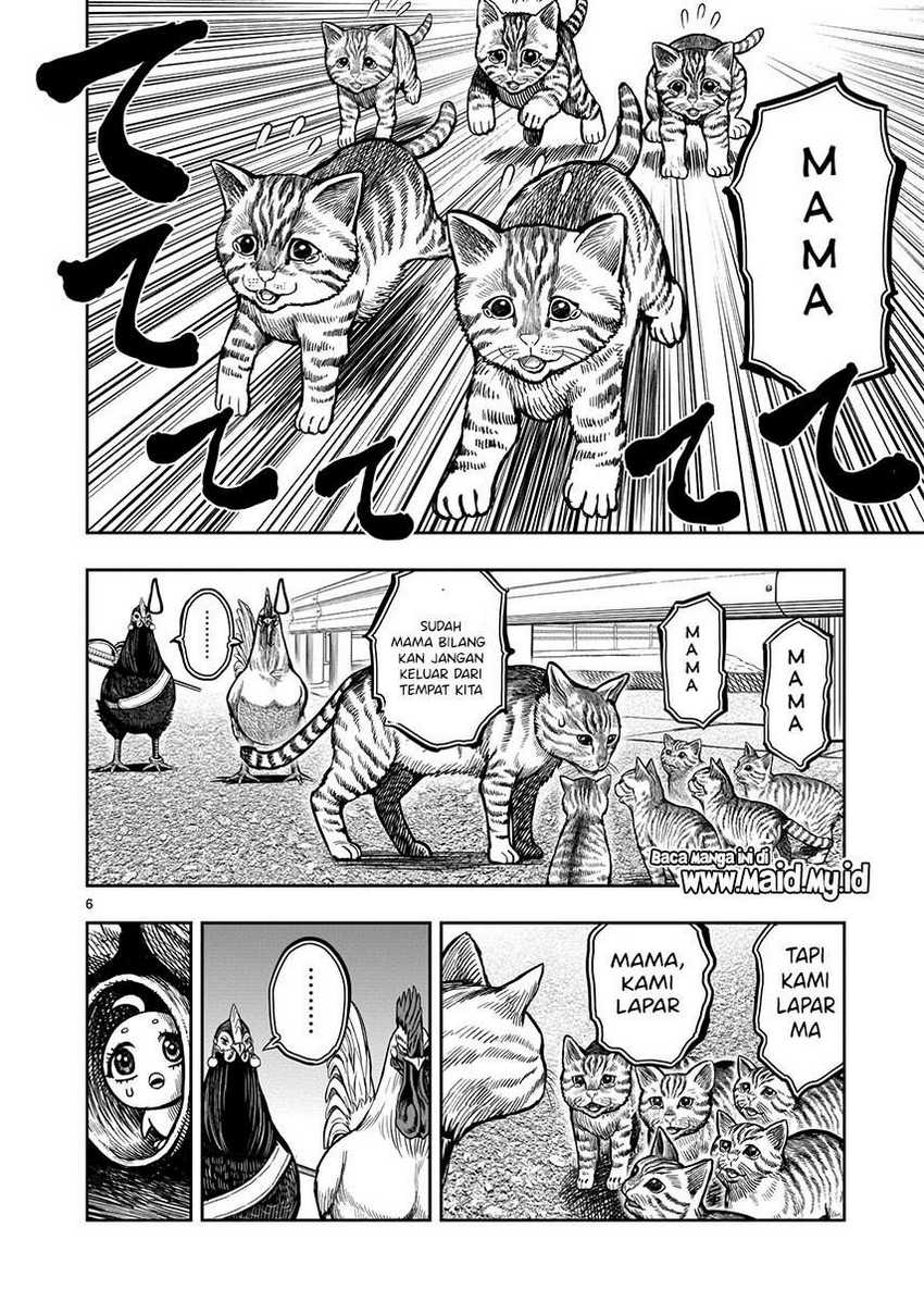 rooster-fighter - Chapter: 9