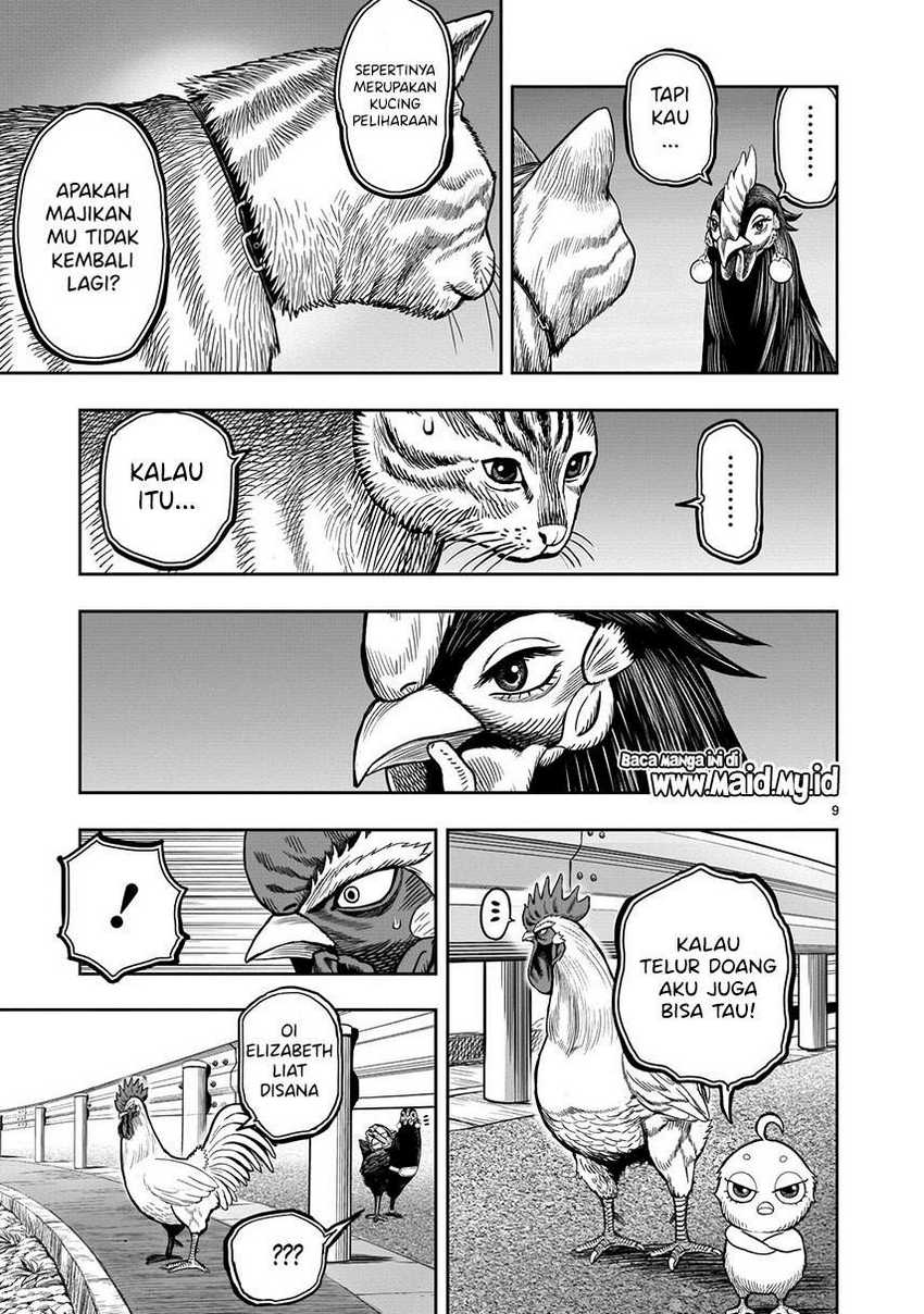 rooster-fighter - Chapter: 9