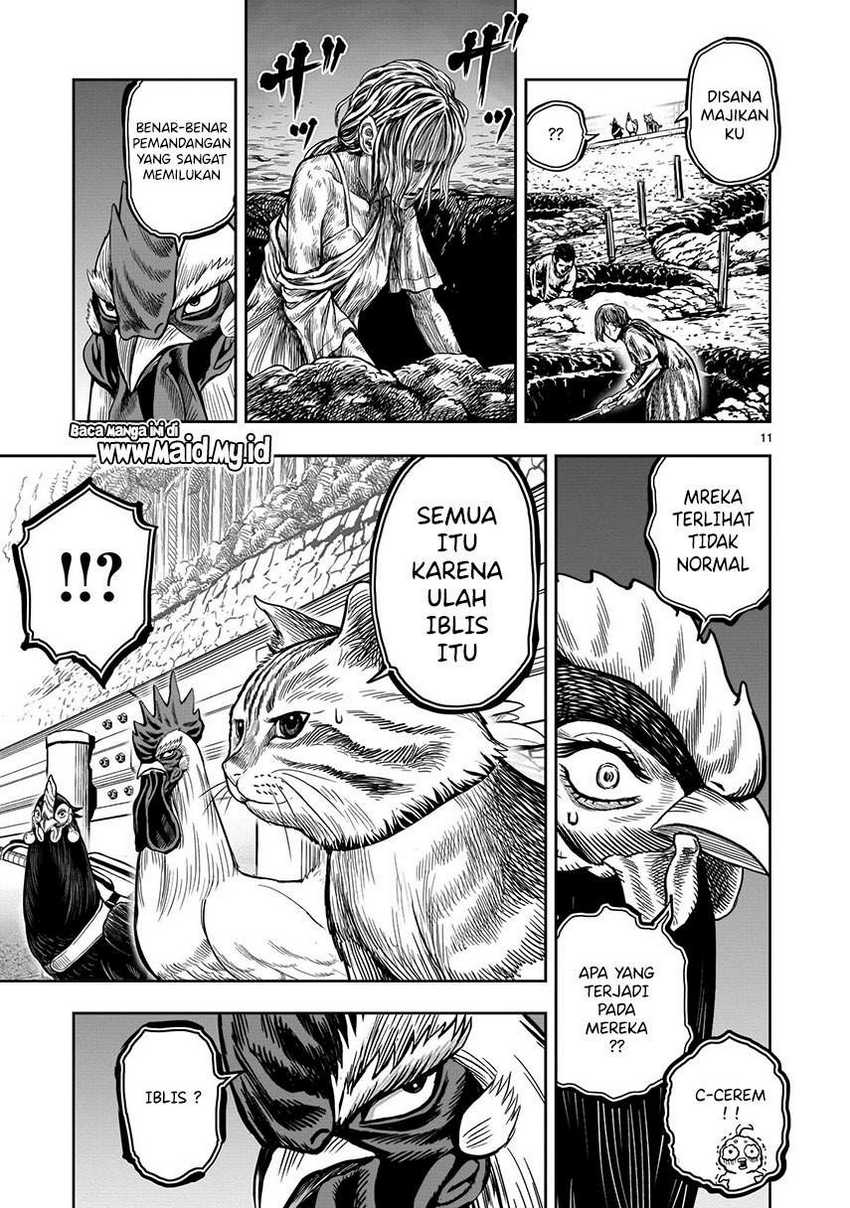 rooster-fighter - Chapter: 9