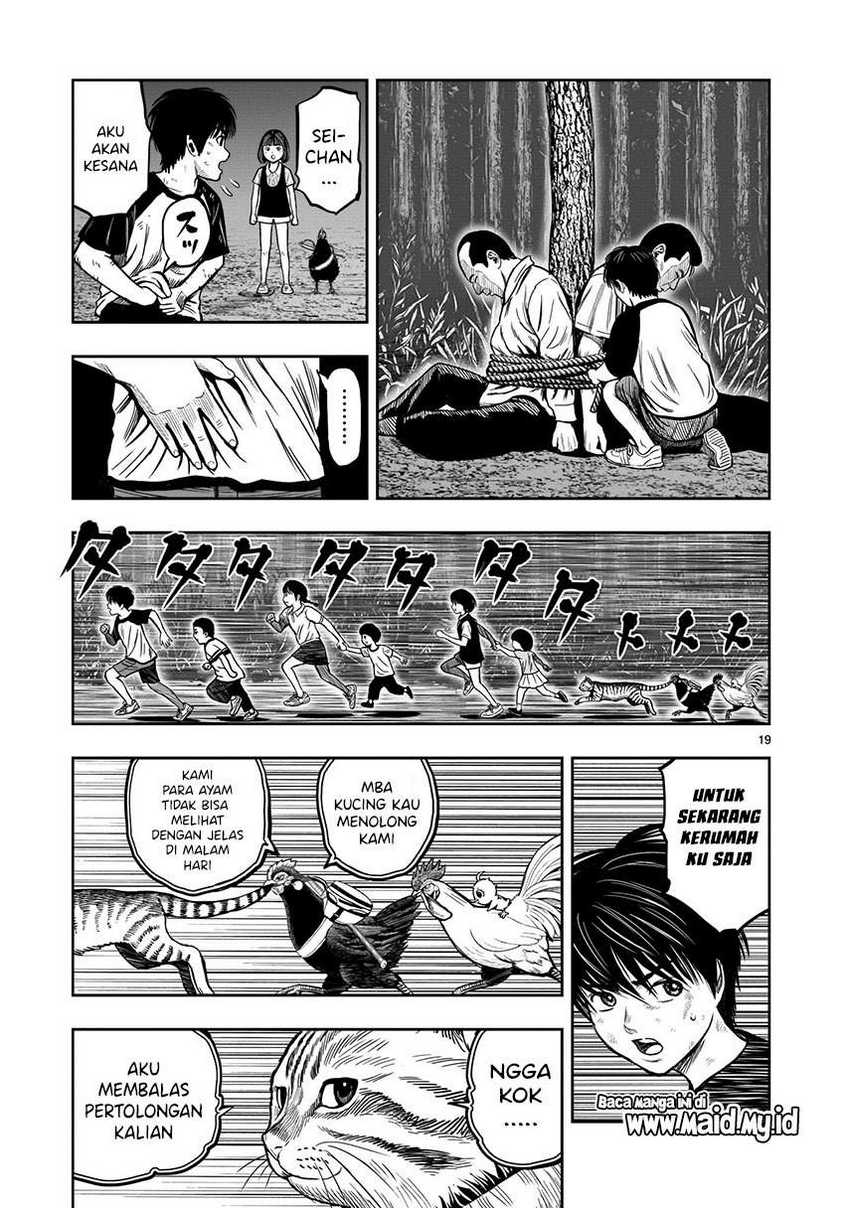 rooster-fighter - Chapter: 9