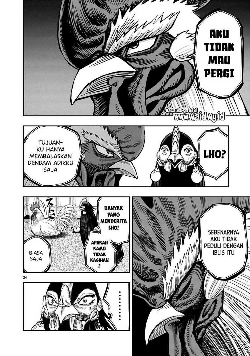 rooster-fighter - Chapter: 9