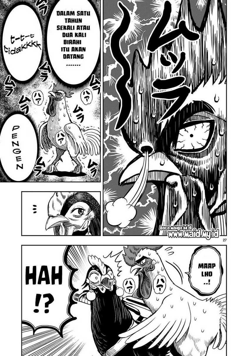 rooster-fighter - Chapter: 9