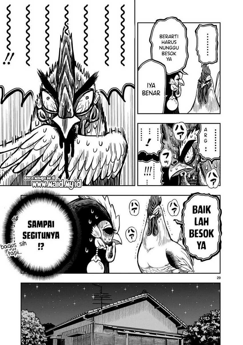 rooster-fighter - Chapter: 9