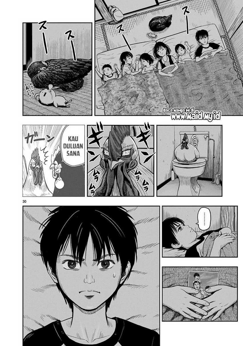 rooster-fighter - Chapter: 9