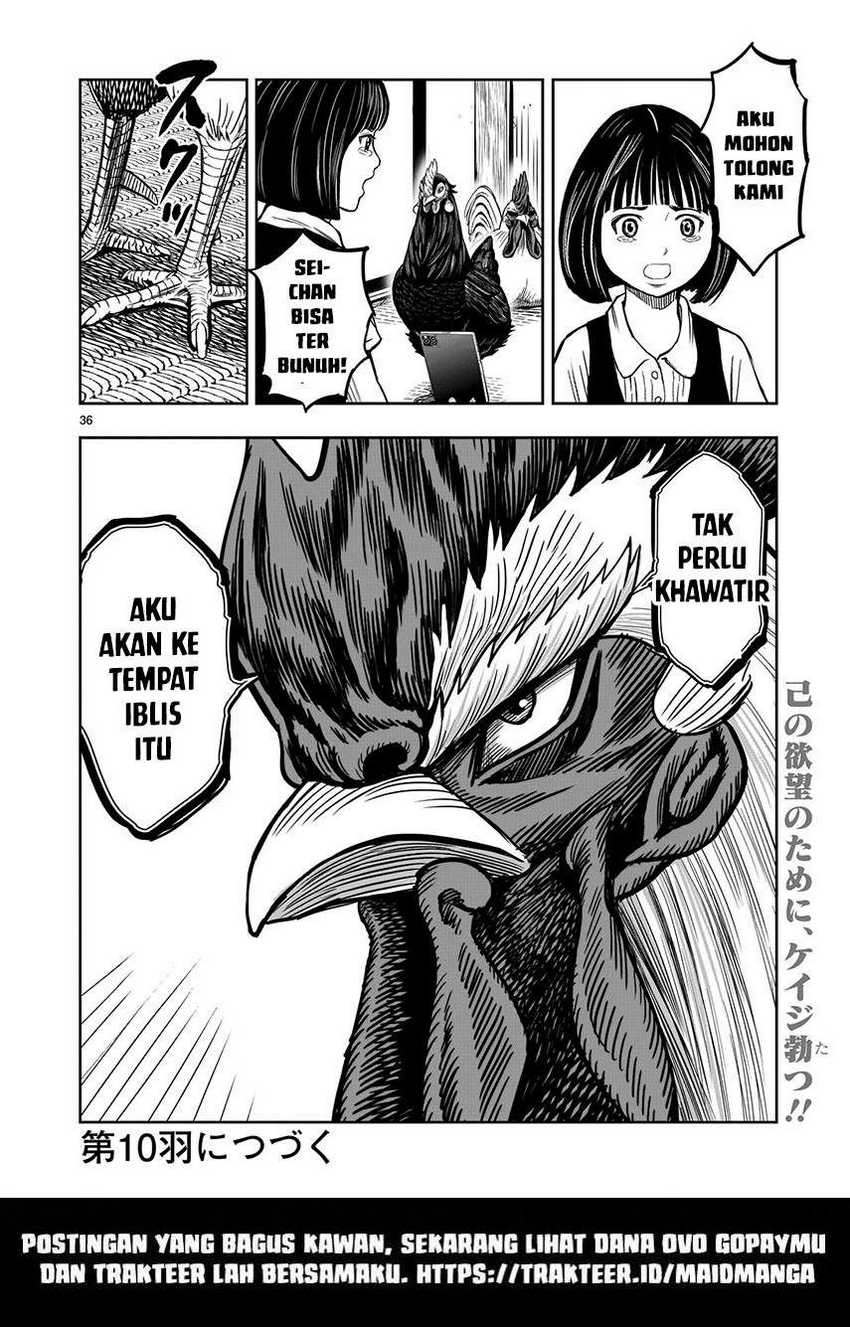 rooster-fighter - Chapter: 9