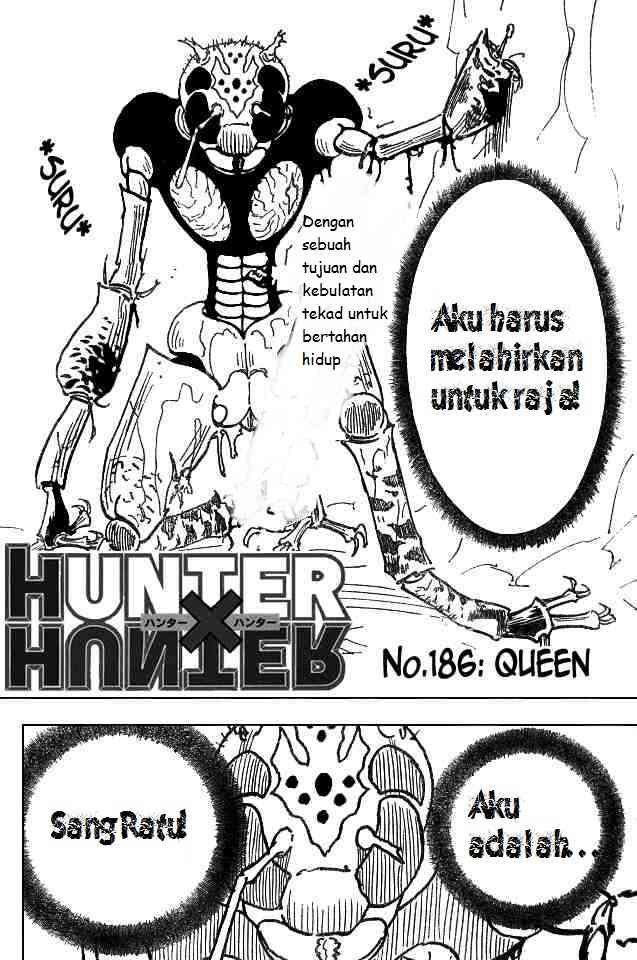 hunter-x-hunter - Chapter: 186
