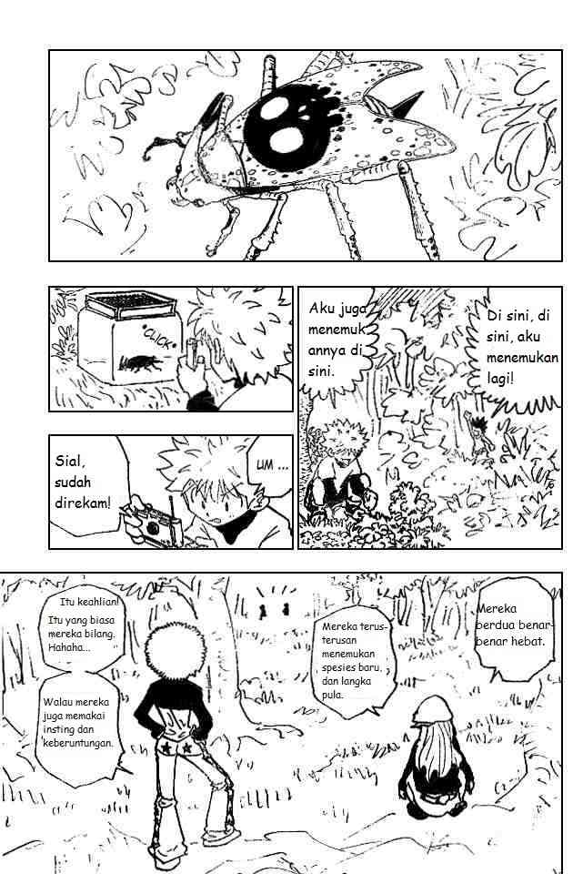 hunter-x-hunter - Chapter: 186