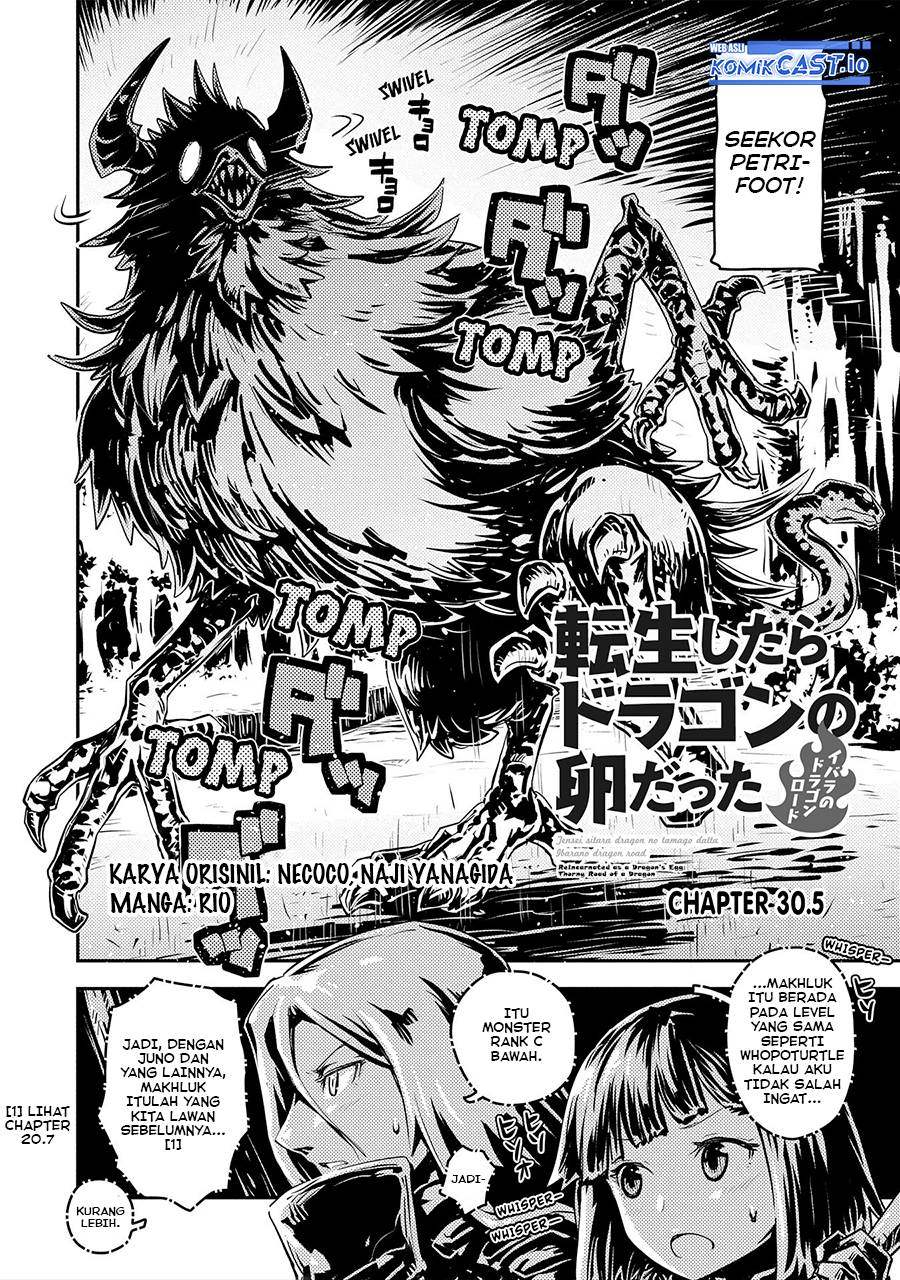 tensei-shitara-dragon-no-tamago-datta-ibara-no-dragon-road - Chapter: 30.5