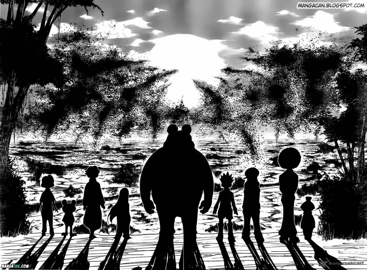 hunter-x-hunter - Chapter: 339