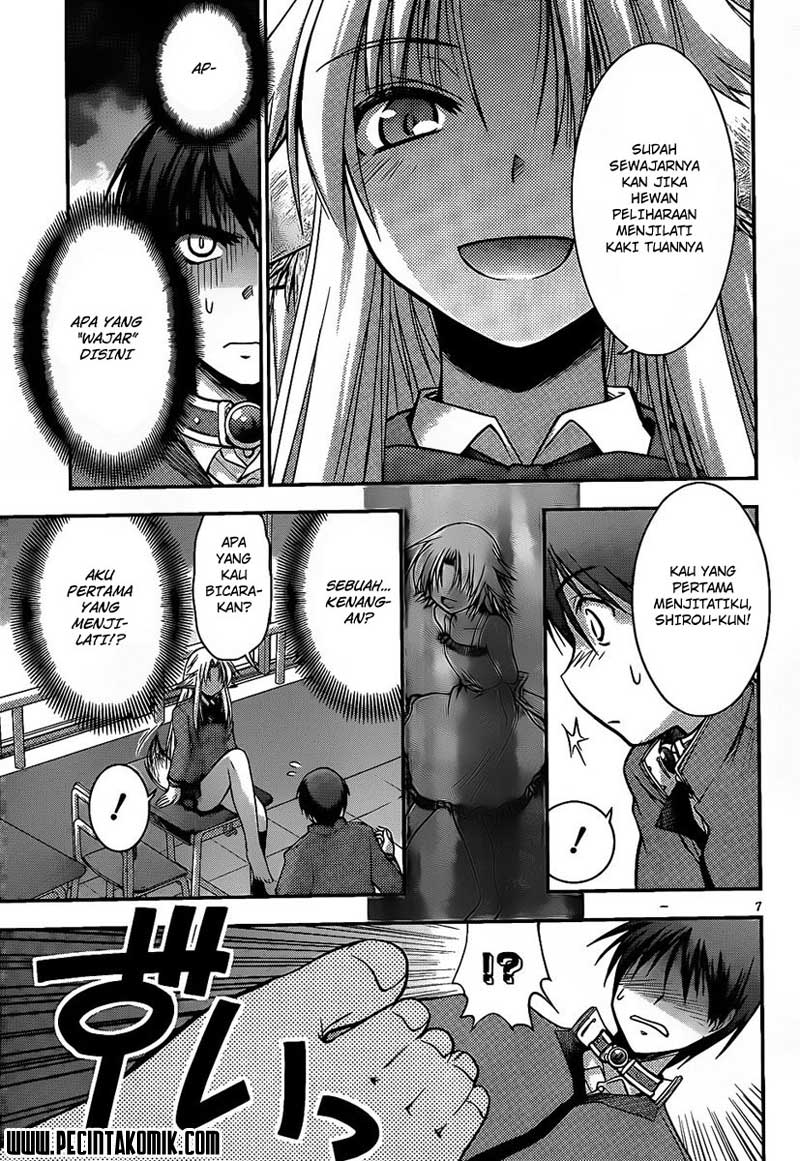 perowan-hayaku-shinasai-goshujinsama - Chapter: 1