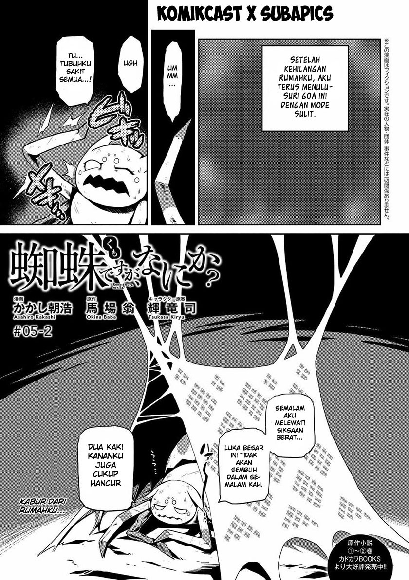 kumo-desu-ga-nani-ka - Chapter: 05.2