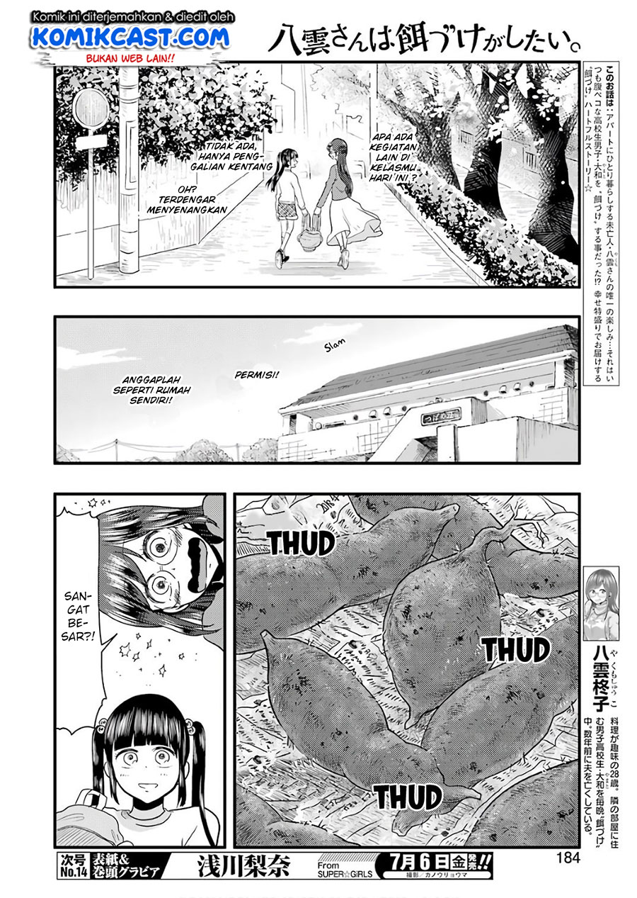 yakumo-san-wa-edzuke-ga-shitai - Chapter: 41