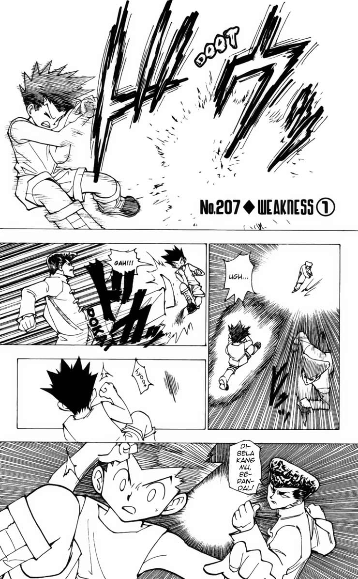 hunter-x-hunter - Chapter: 207