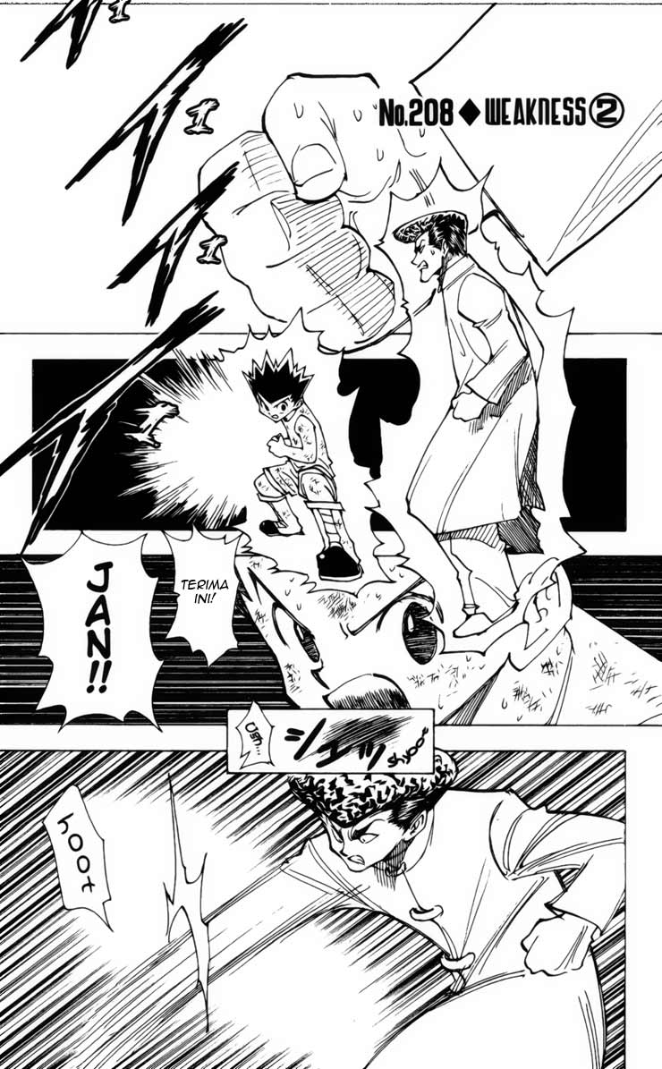 hunter-x-hunter - Chapter: 208