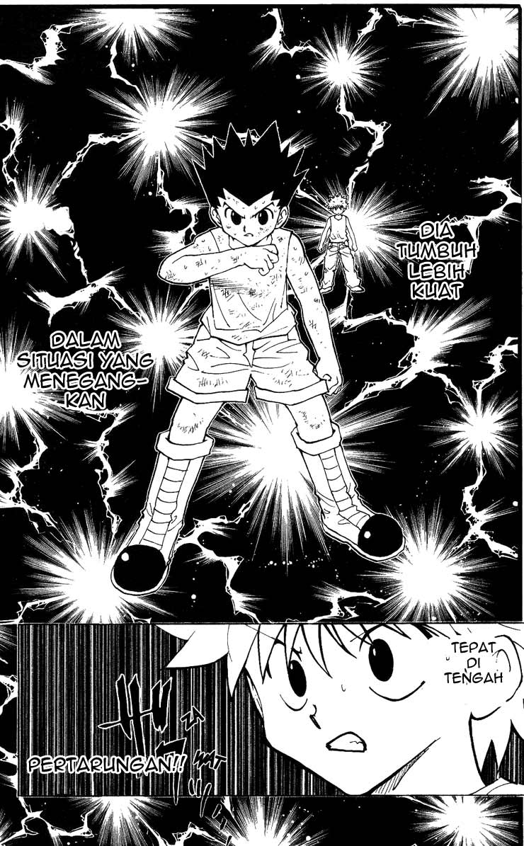 hunter-x-hunter - Chapter: 208