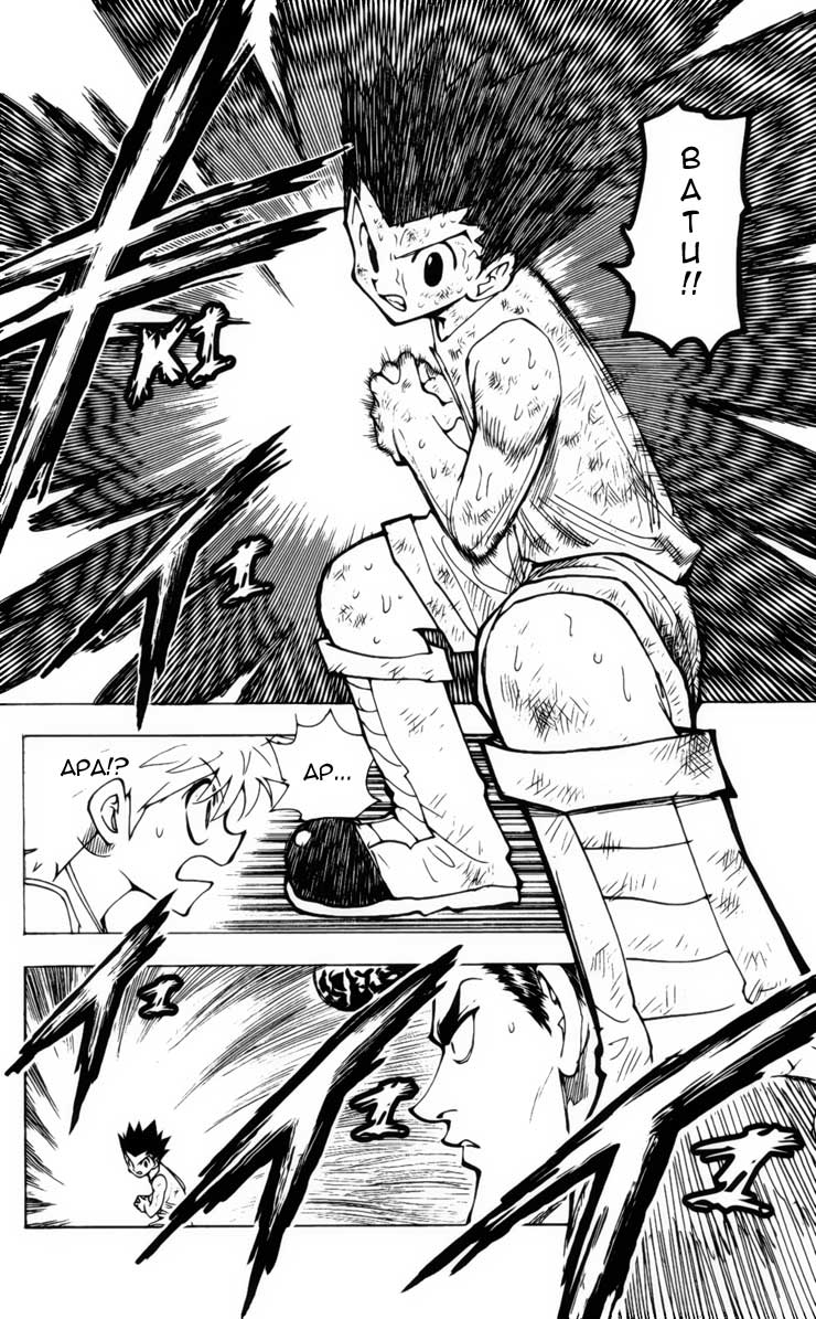 hunter-x-hunter - Chapter: 208