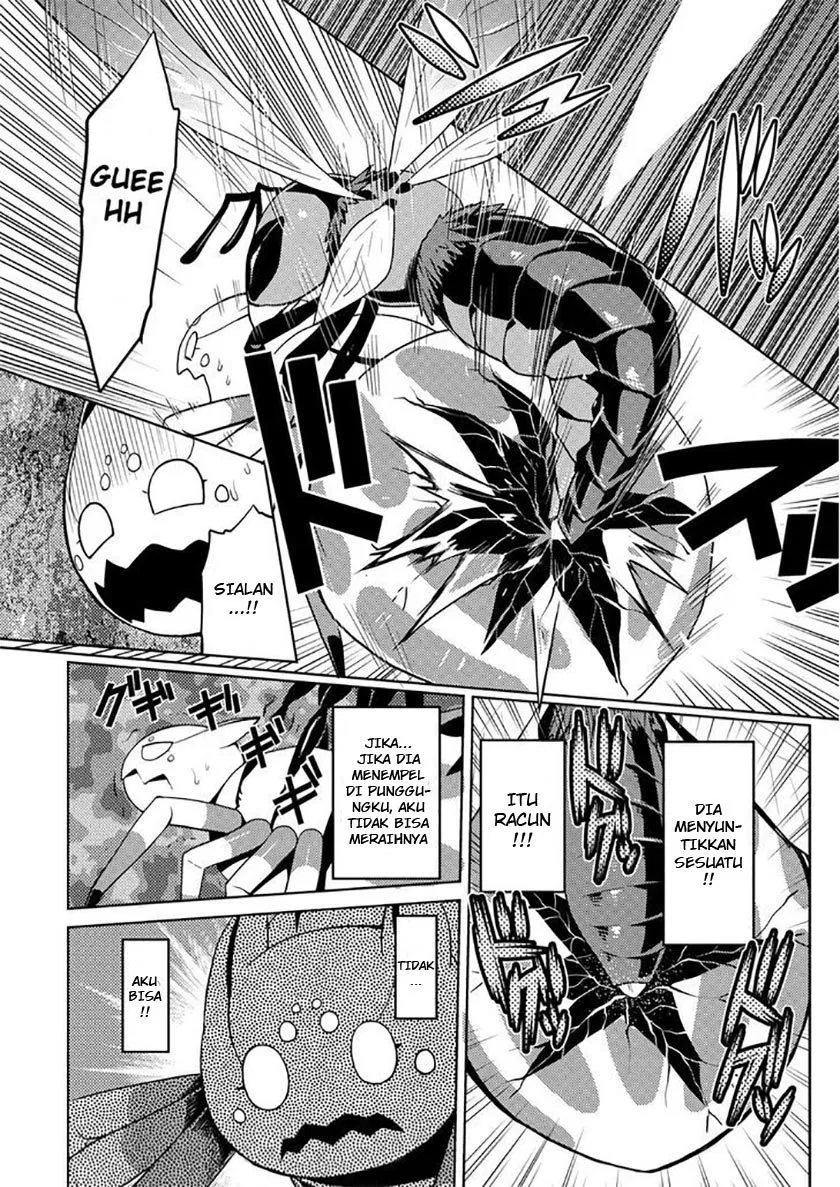 kumo-desu-ga-nani-ka - Chapter: 07