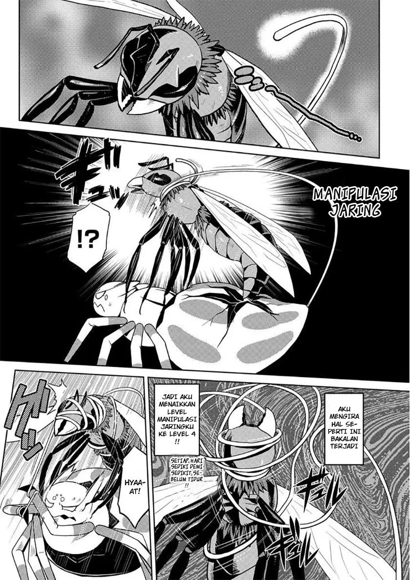 kumo-desu-ga-nani-ka - Chapter: 07