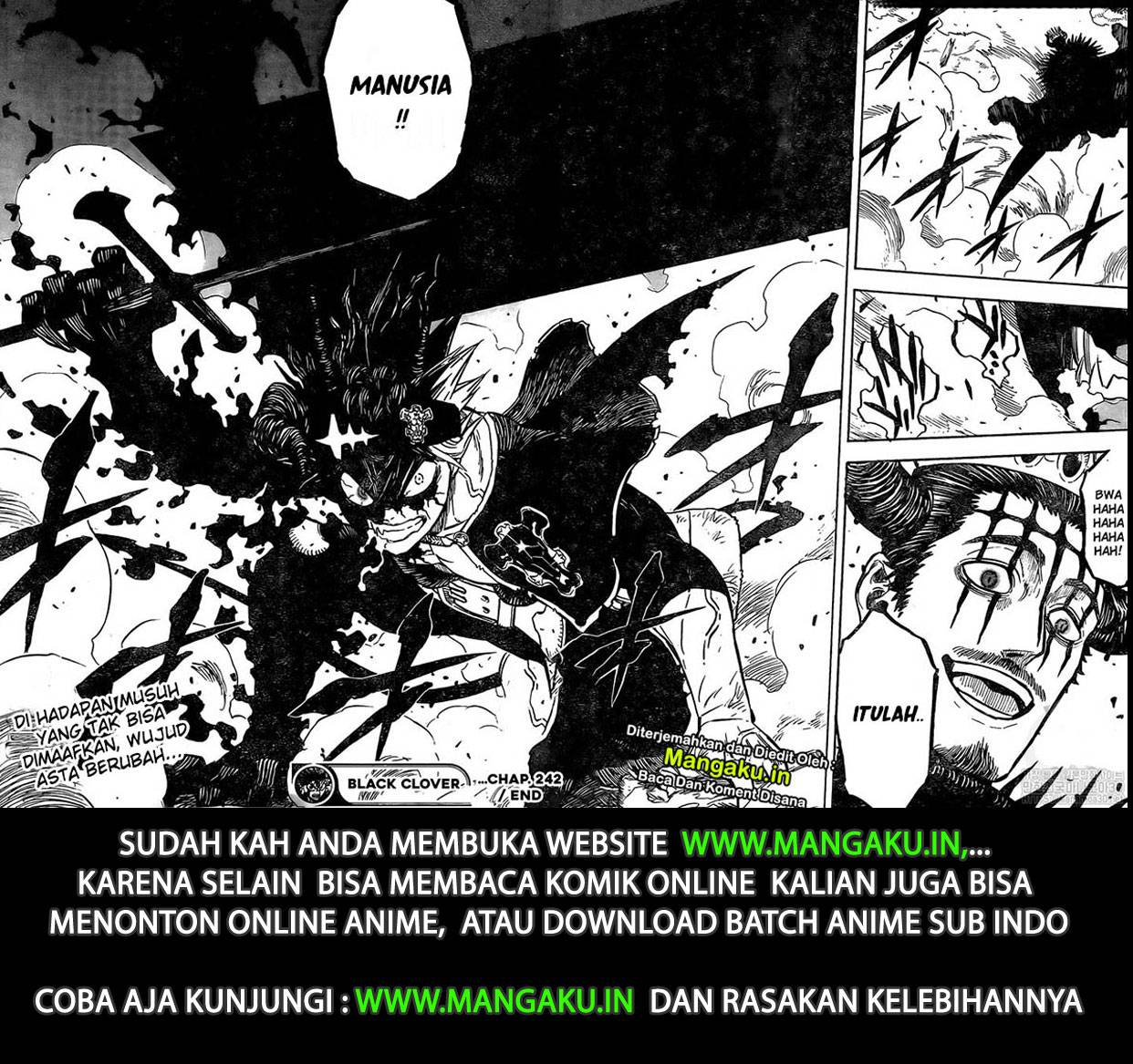 black-clover - Chapter: 242