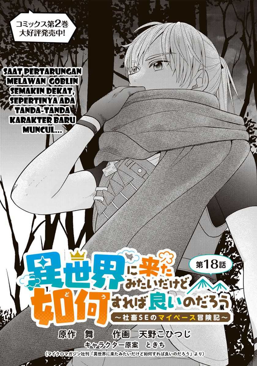 isekai-ni-kita-mitai-dakedo-ikan-sureba-yoi-no-darou - Chapter: 18