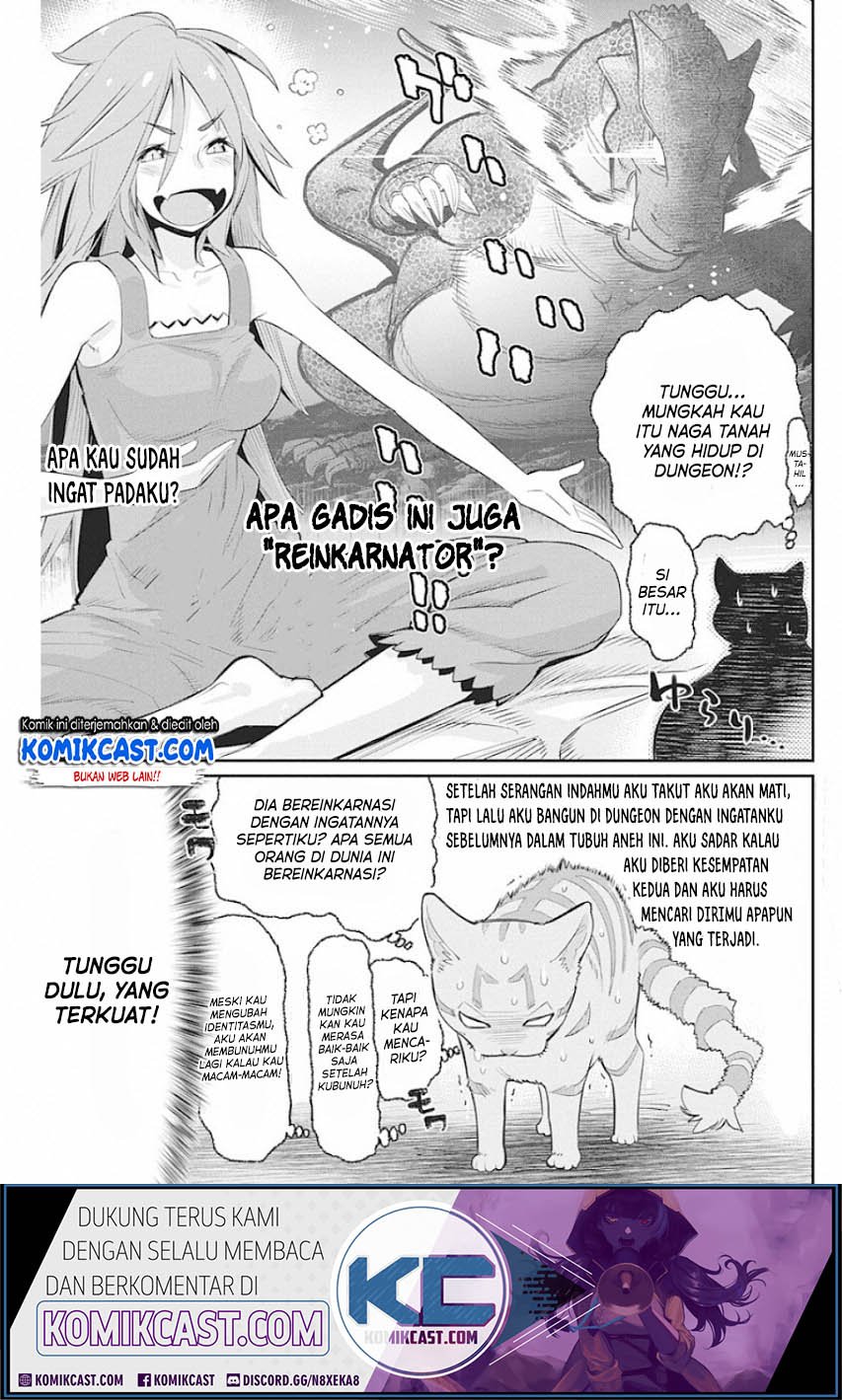 s-rank-monster-no-behemoth-dakedo-neko-to-machigawarete-erufu-musume-no-kishi-pet-toshite-kurashitemasu - Chapter: 22