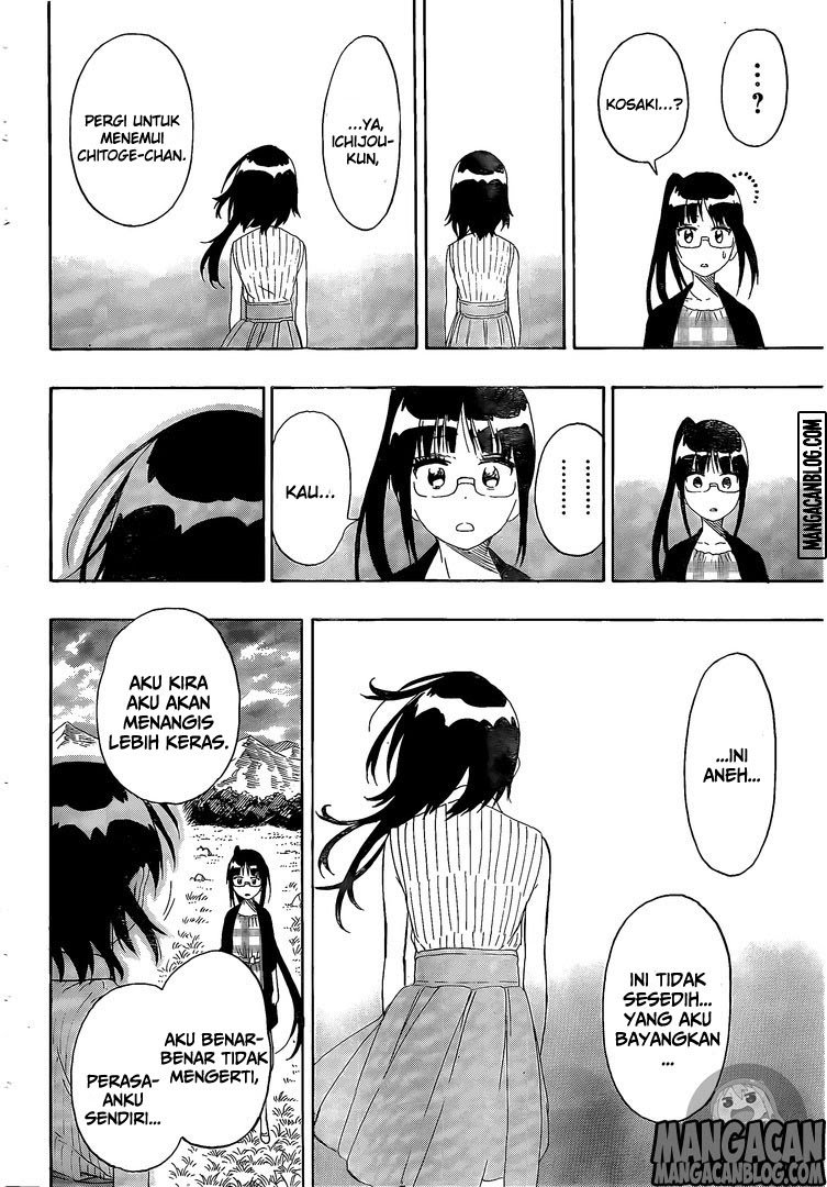 nisekoi - Chapter: 226