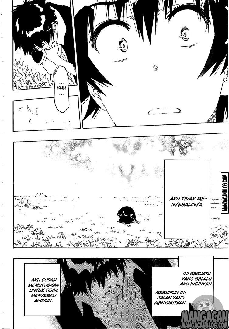 nisekoi - Chapter: 226