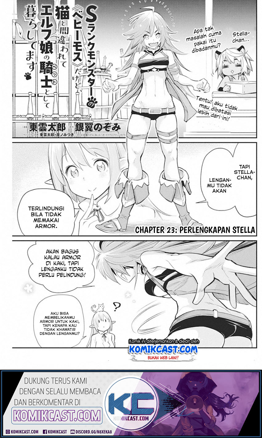 s-rank-monster-no-behemoth-dakedo-neko-to-machigawarete-erufu-musume-no-kishi-pet-toshite-kurashitemasu - Chapter: 23