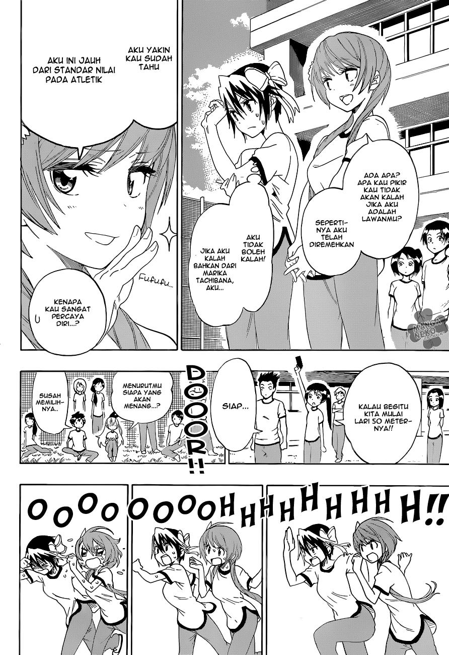 nisekoi - Chapter: 99