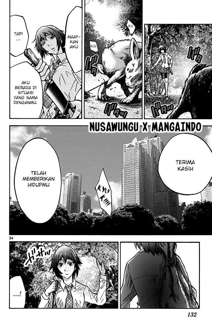 imawa-no-kuni-no-alice - Chapter: 13