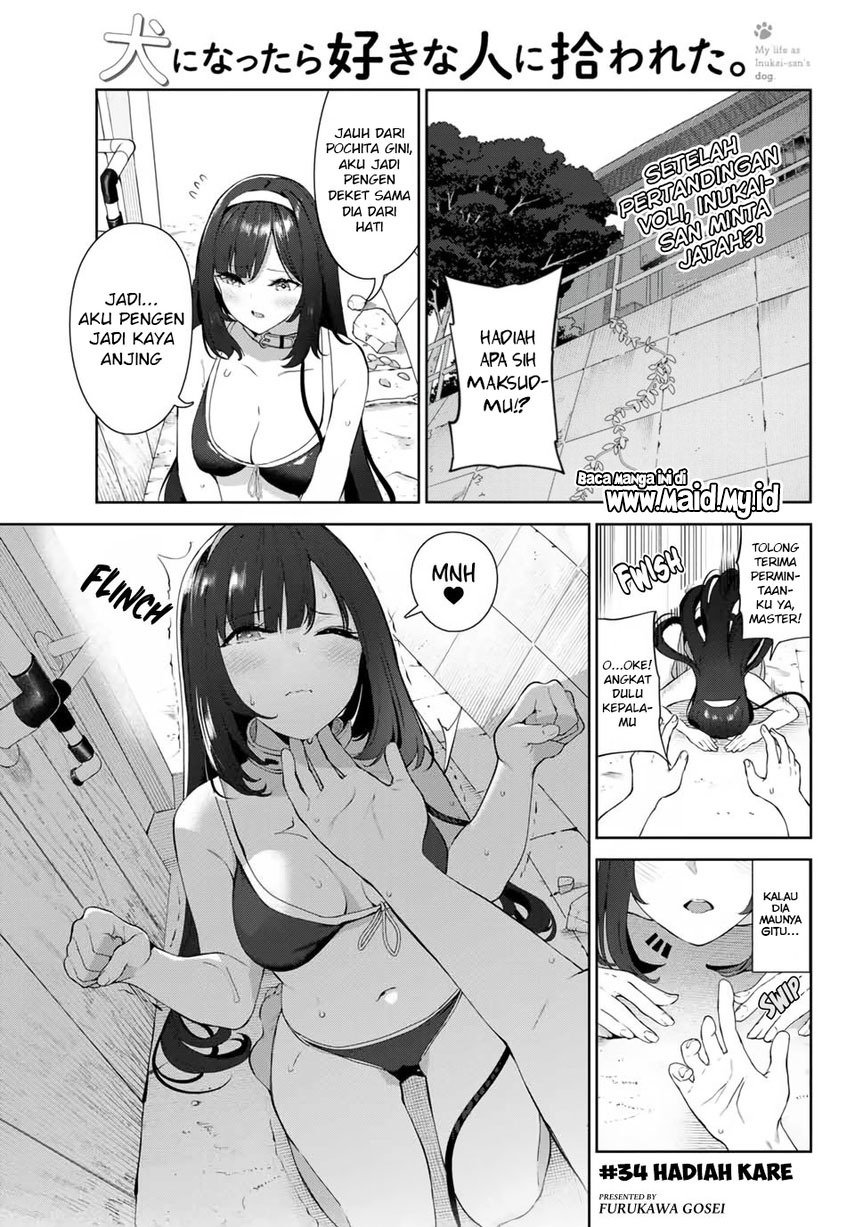 inu-ni-nattara-suki-na-hito-ni-hirowareta - Chapter: 34