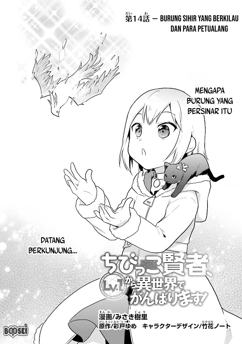 the-small-sage-will-try-her-best-in-the-different-world-from-lv-1 - Chapter: 14