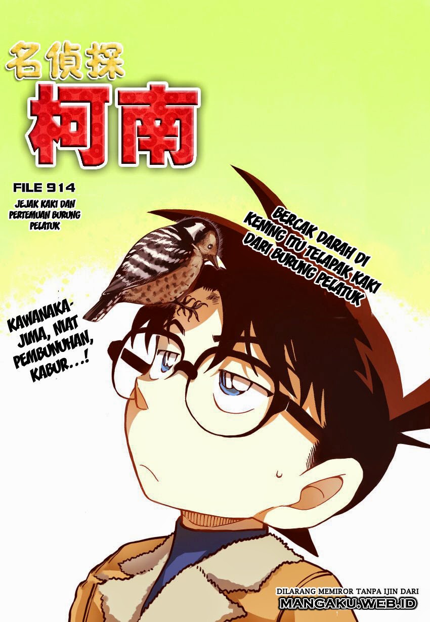 detective-conan - Chapter: 914