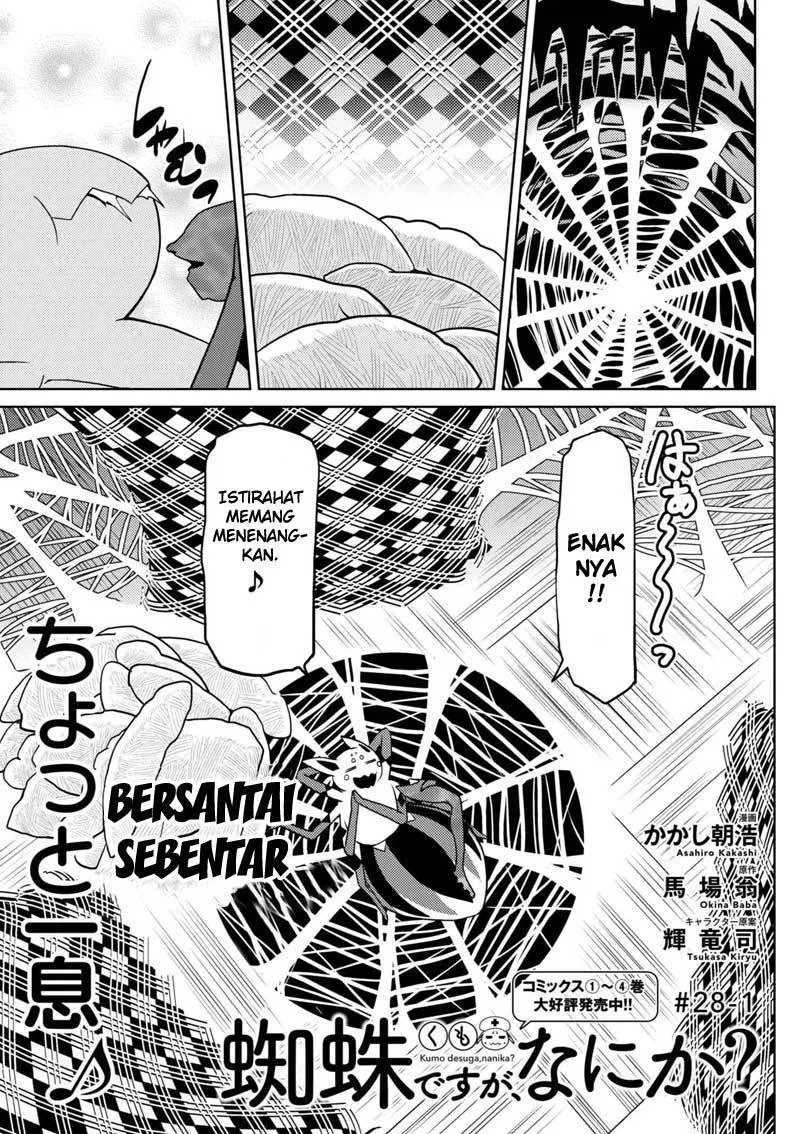 kumo-desu-ga-nani-ka - Chapter: 28.1