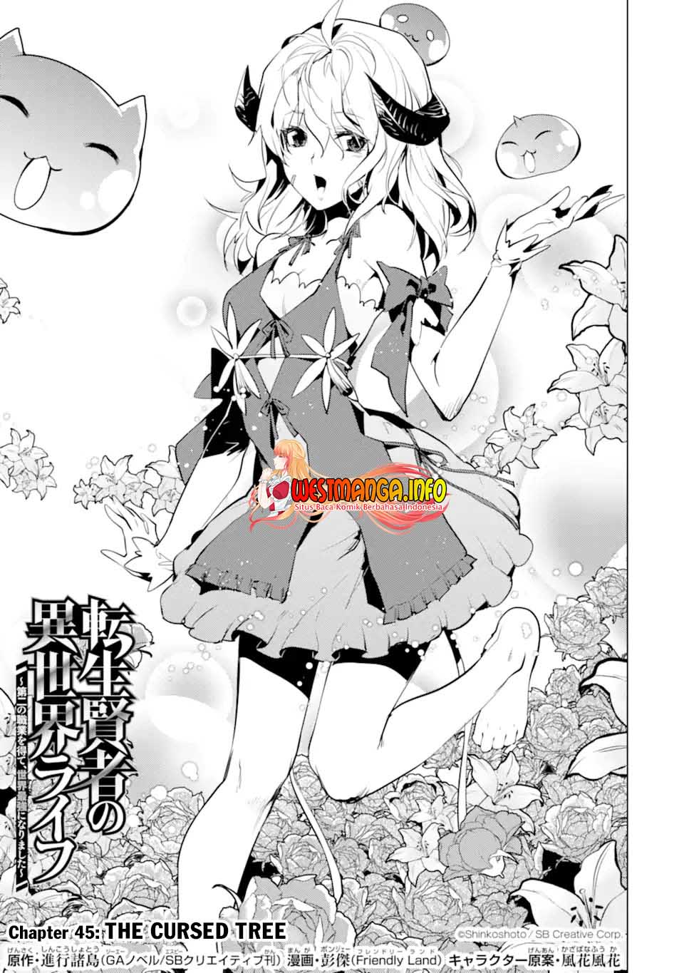 tensei-kenja-no-isekai-raifu-daini-no-shokugyo-wo-ete-sekai-saikyou-ni-narimashita - Chapter: 45.1