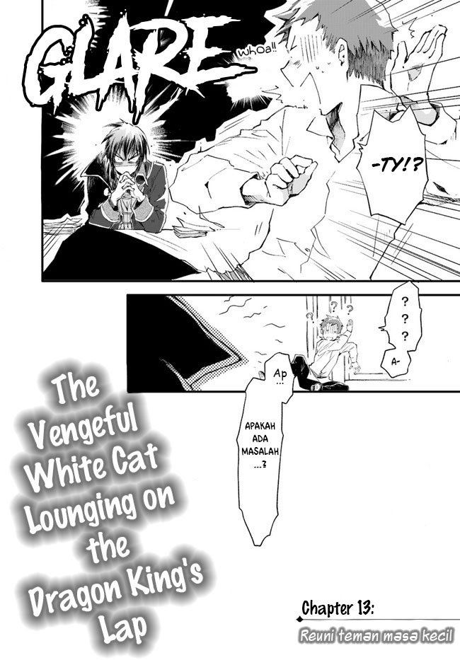 the-vengeful-white-cat-lounging-on-the-dragon-kings-lap - Chapter: 13