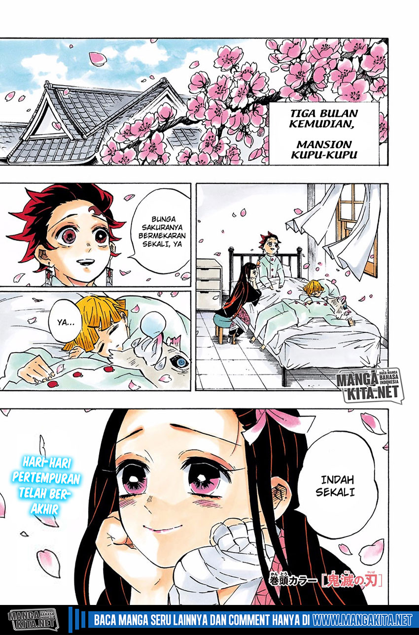 kimetsu-no-yaiba - Chapter: 204.5