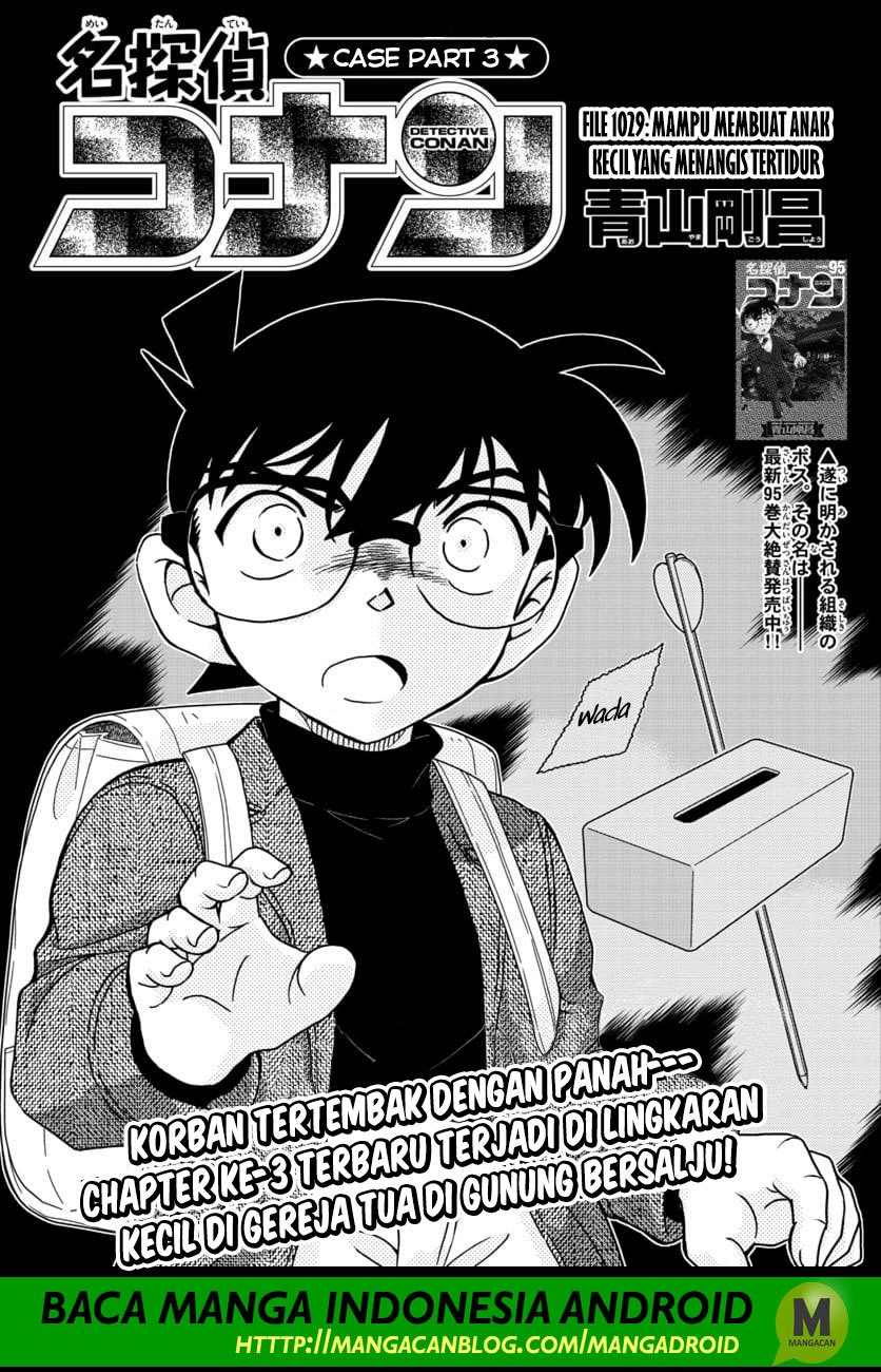 detective-conan - Chapter: 1029