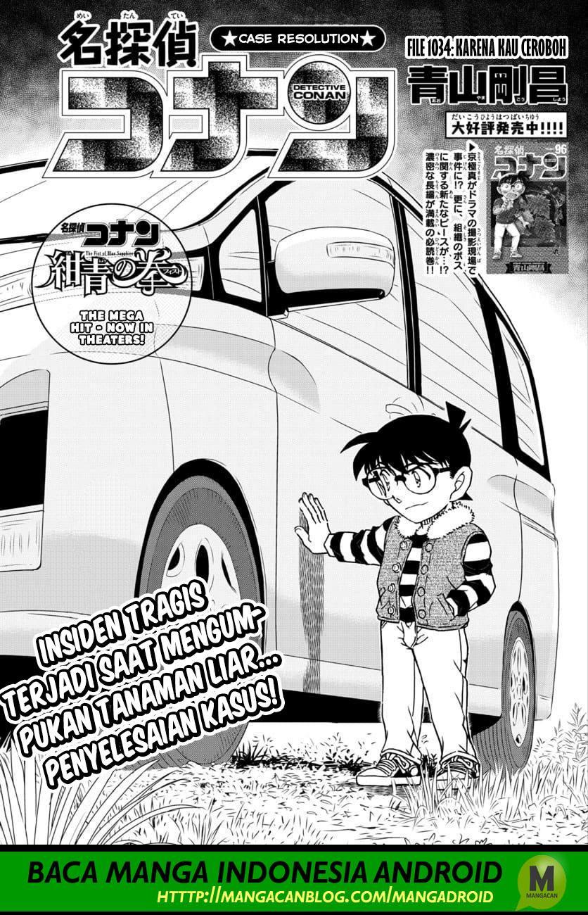 detective-conan - Chapter: 1034