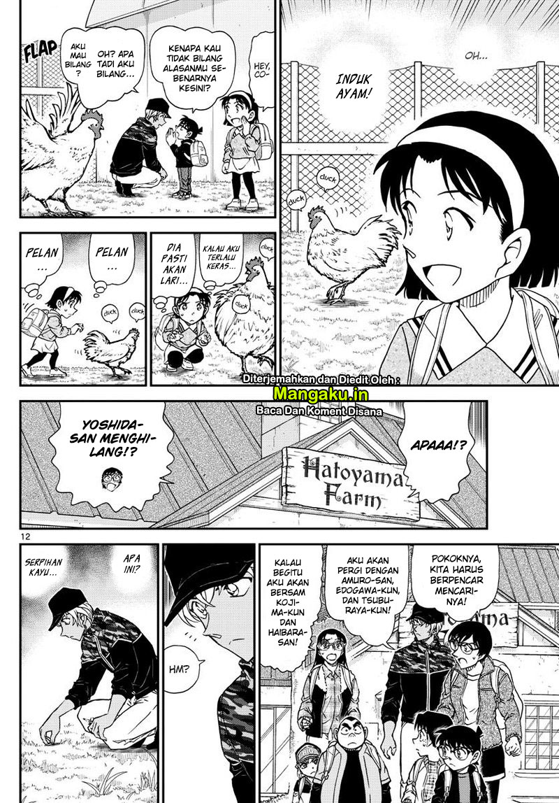 detective-conan - Chapter: 1051