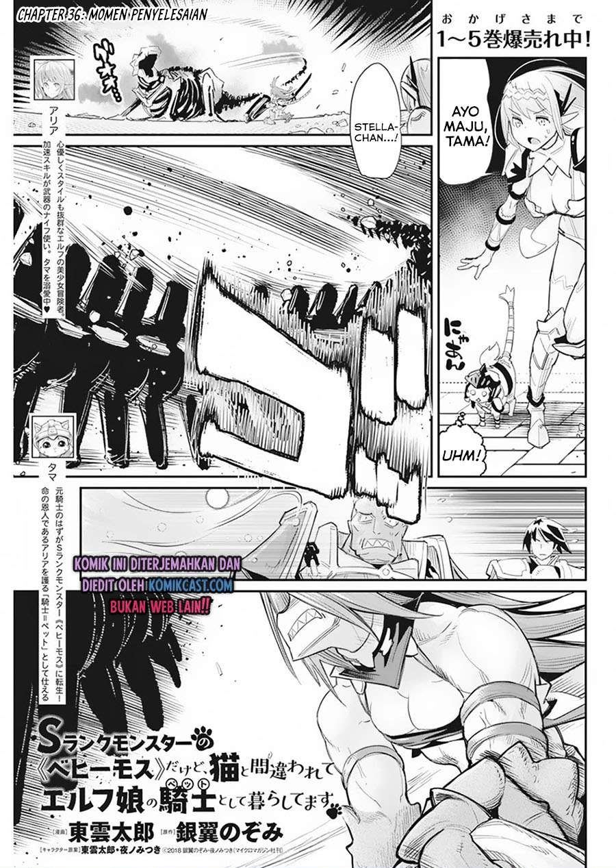 s-rank-monster-no-behemoth-dakedo-neko-to-machigawarete-erufu-musume-no-kishi-pet-toshite-kurashitemasu - Chapter: 36